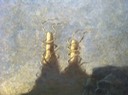 PARENTS (detail)72