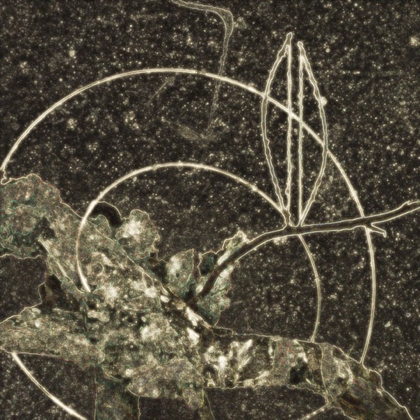 SPIRITGRAPH # 10