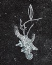 Spiritgraph 7