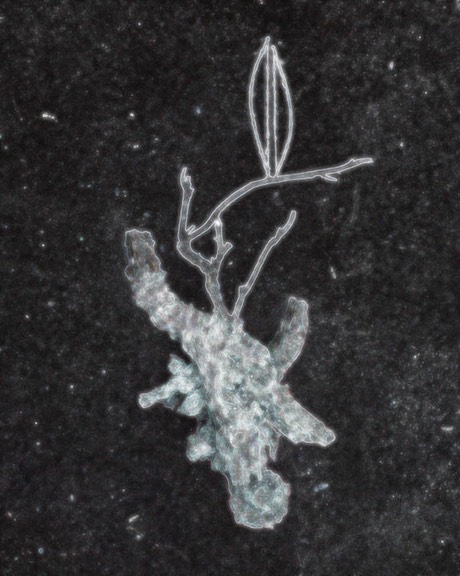 Spiritgraph 7